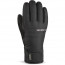 Dakine Bronco Gore-Gex Glove